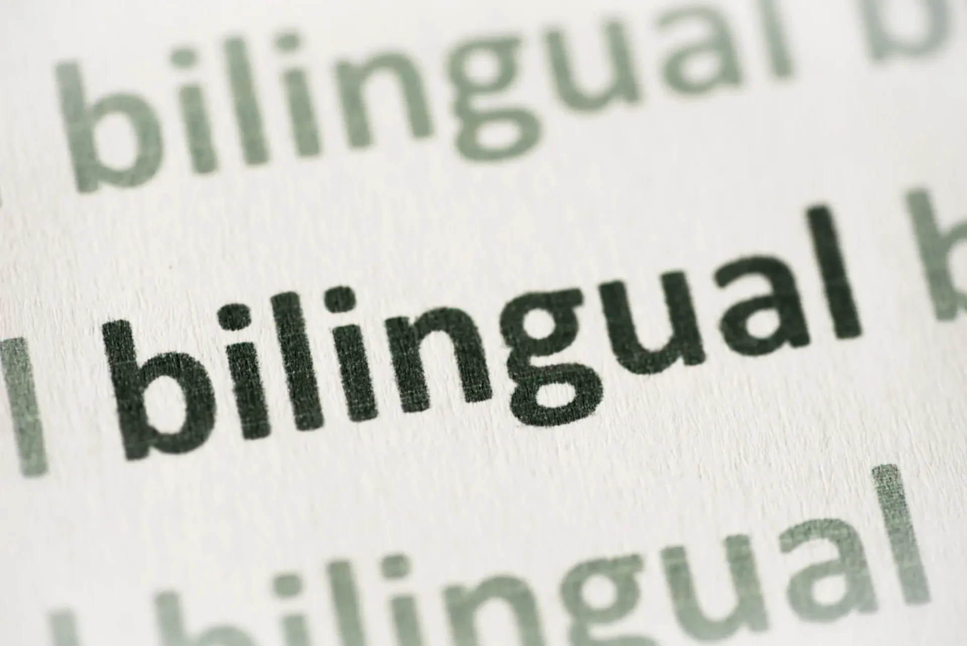 Close-up of the word "bilingual" printed repeatedly